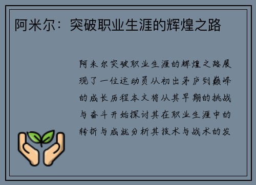 阿米尔：突破职业生涯的辉煌之路