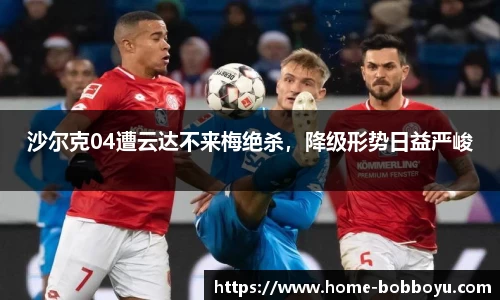 BOB博鱼