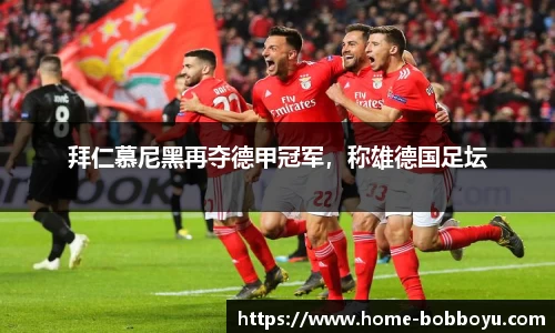 BOB博鱼app
