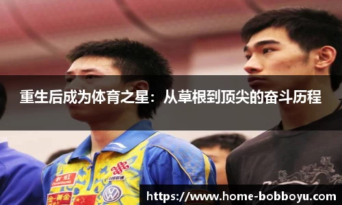 BOB博鱼